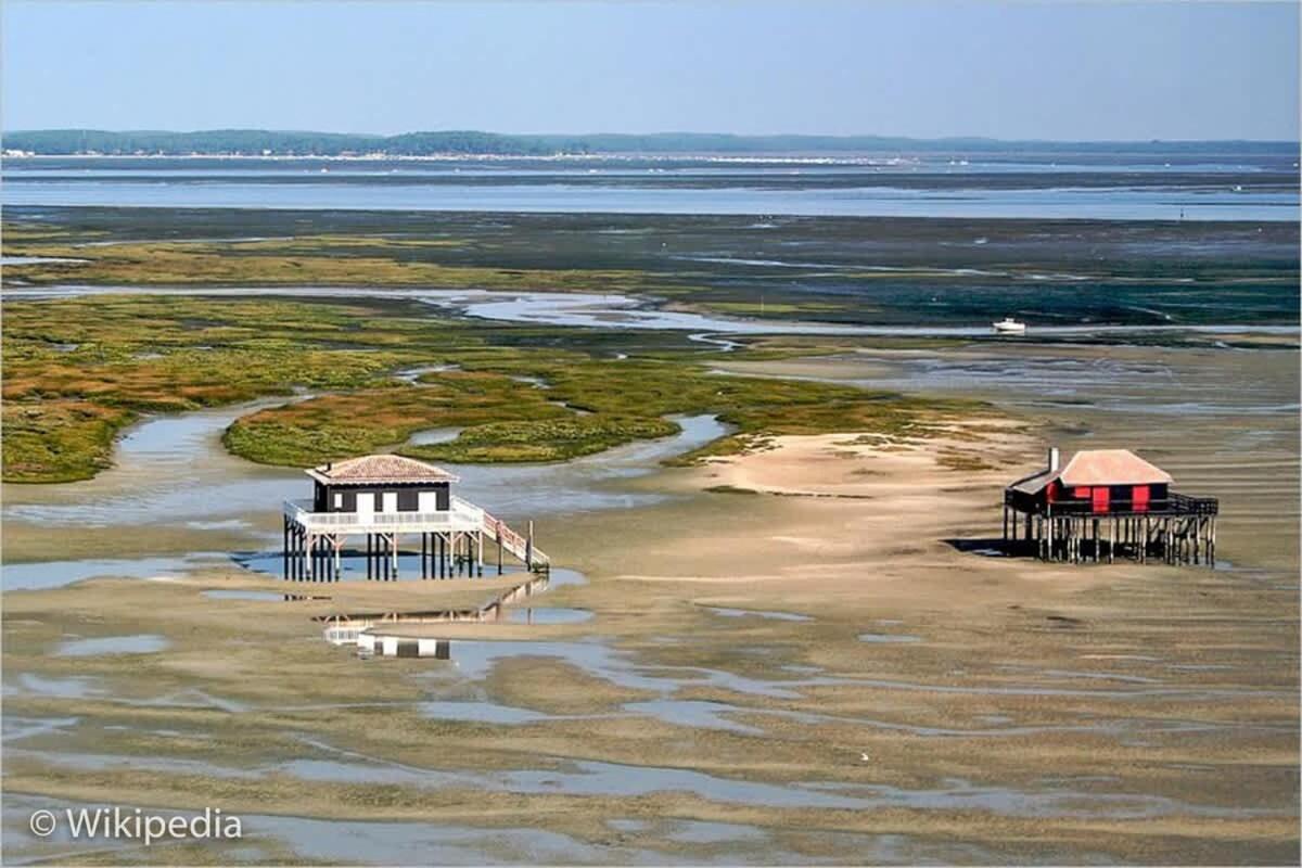 Beautiful Louisiana Villa Sleeps 6 With Pool ミオ エクステリア 写真